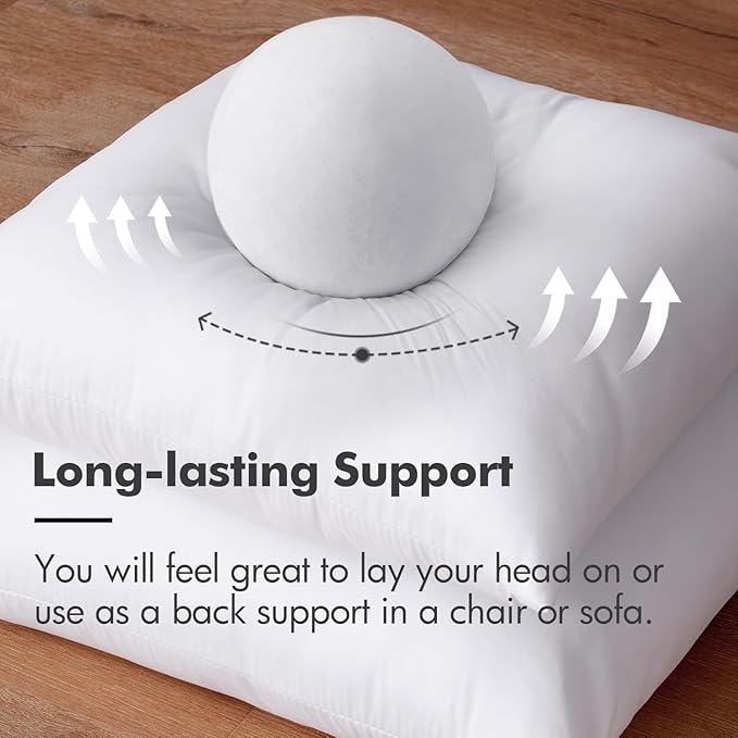 MIULEE Set of 2 Throw Pillow Inserts Premium Pillow Stuffer Rectangle Form for Decorative Cushion Bed Couch Sofa 16x26 Inch
