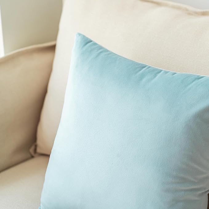 NiNi ALL Decorative Throw Pillow Covers Pack of 2, Velvet Throw Pillow Cases for Couch Pillows Cover Bedroom Living Room Outdoor Pillow Covers 18x18 Inch Baby Blue