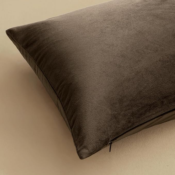 MIULEE Velvet Throw Pillow Covers 20x20 Inch, Pack of 2 - Coffee, Super Soft Decorative Square Cushion Cases Modern Luxury Home Decor for Sofa, Couch, Bed, Chair