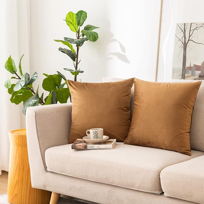 NiNi ALL Decorative Throw Pillow Covers Velvet 26x26 Inch Pack of 2 Brown Cushion Covers Soft for Couch Sofa Bedroom Living Room Outdoor
