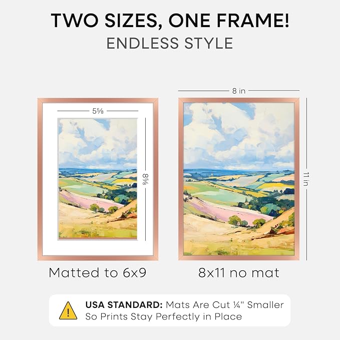 Homeforia 8x11 Picture Frame Rose Gold, High End Metal 8 x 11 Poster Frames with Mat 6 by 9 Photo, 11x8 Frame Matted to 6x9 inch Print, 8by11 Wall or Tabletop Frame, Tempered Glass, Wall Kit, Set of 1