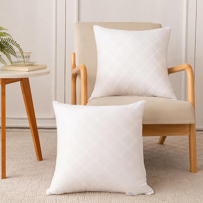 Oubonun 20x20 Throw Pillows Inserts Pack of 2, Decorative White Square Pillow Inserts, Premium Fluffy Pillow Insert Pair for Sofa Couch Living Room