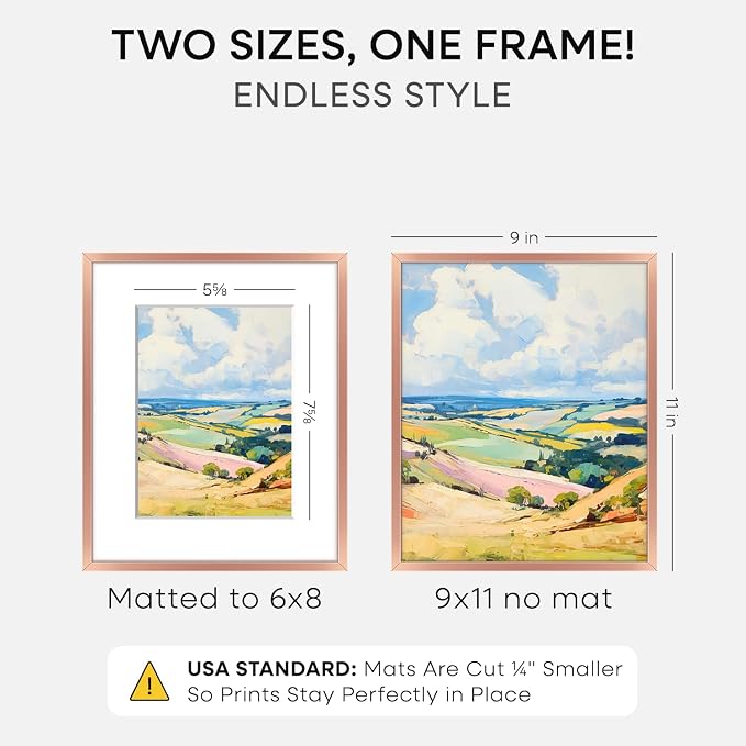 Homeforia 9x11 Rose Gold Frame, High End Metal 9 x 11 Picture Frames with Mat 6 by 8 inch Photo, 9by11 Poster Frame Matted to 6x8 Print, 11x9 Wall or Tabletop Frame, Tempered Glass, Wall Kit, Set of 1