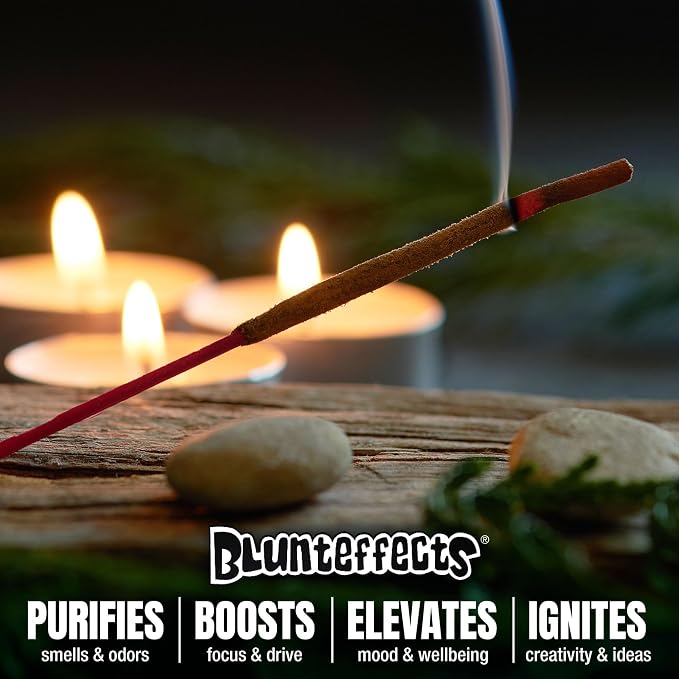 Blunteffects Hand-Dipped Incense Sticks - Premium 288-Pack Variety Set, 12 Different Scents, 11" Long, USA-Made Aromatherapy with Long Burn Time (12 Pack, 144 Total Sticks)