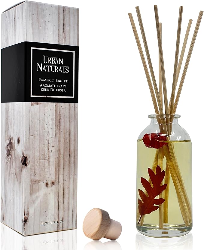 Urban Naturals Reed Diffuser Set, Pumpkin Brulee - Bathroom Shelf Décor | Scented Sticks, Fall & Winter Home Scent, Creamy Pumpkin Pie, Nutmeg & French Vanilla, Beautiful Autumn Home Decor