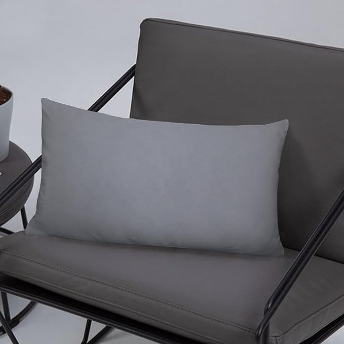 A1HC Set of 2 Luxurious Fine Soft Velvet Throw Pillow Covers Only, for Sofas, Beds, Vibrant Colors and Hidden Zipper. Enhance Your Living Space with Decorative Couch Pillow 12"x20", Dark Grey