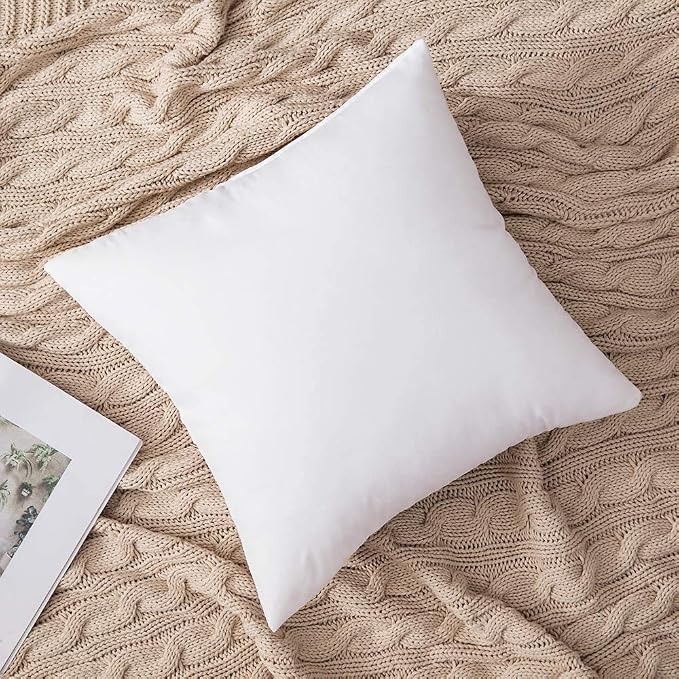 MIULEE Set of 2 Throw Pillow Inserts Premium Pillow Stuffer Square Form for Decorative Cushion Bed Couch Sofa 22x22 Inch