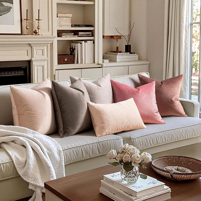 MIULEE Velvet Throw Pillow Covers 22x22 Inch, Pack of 2 - Jam, Soft Solid Decorative Pillow Covers Cushion Cases Modern Luxury Home Decor for Spring Couch Sofa Bedroom Livingroom