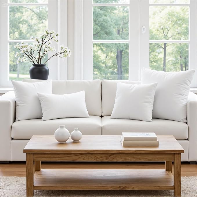 MIULEE 20 x 20 Pillow Inserts (Set of 2) - Throw Pillows Insert Premium Pillow Stuffer Square Form for Decorative Cushion Bed Couch Sofa