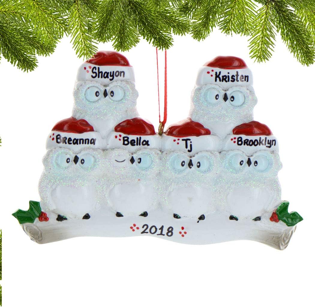 3D Owl Family of 6 Ornament 2025 Personalized Family Christmas Ornaments 2025 | White Holiday Keepsake Woodland Owls Personalized Tree Ornaments for Grandchildren, Siblings & Grandkids of Six Ornament