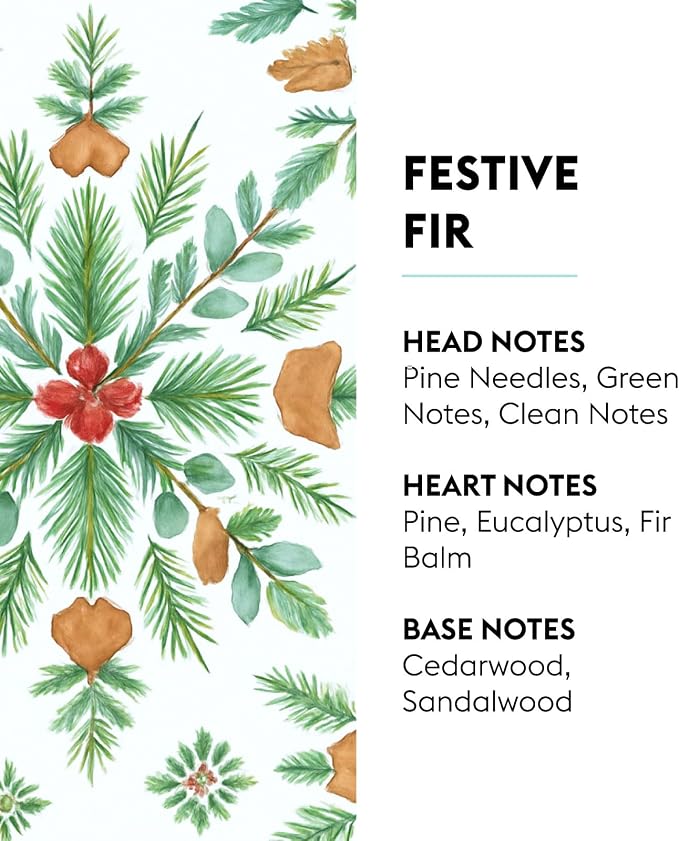MAISON BERGER Lampe Berger Refill, 1 L, Festive Fir | Catalytic Lamp Fragrance Refill, Helps Neutralize Odors, ~160 h Fragrance Diffusion, Made in France