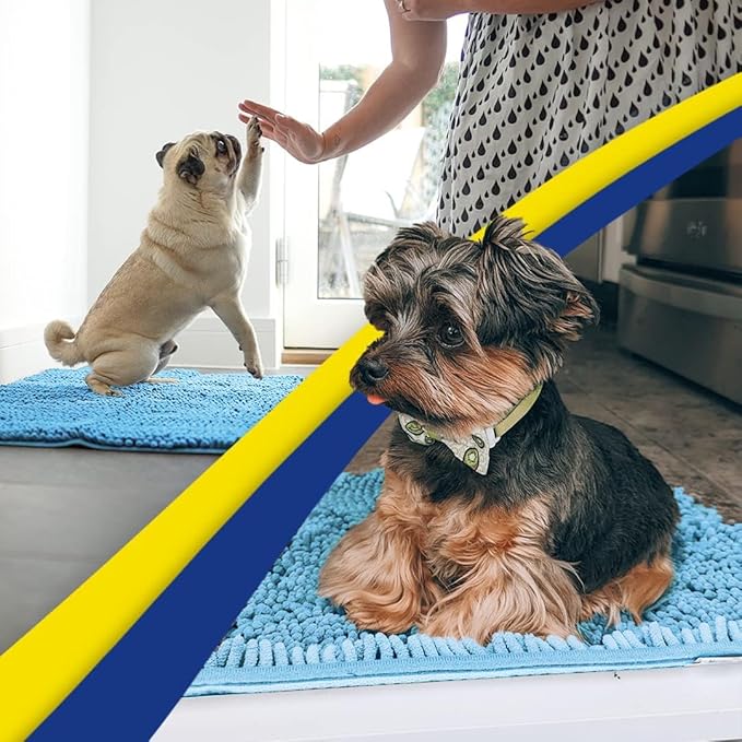Muddy Mat® | Super Water Absorbent Door Mat Indoor, Microfiber Quick Dry Chenille Entryway Rug, Slip Resistant Front Door Mat, Indoor Mats for Entryway, Machine Washable Pet Rug, Sky Blue 35"x60"