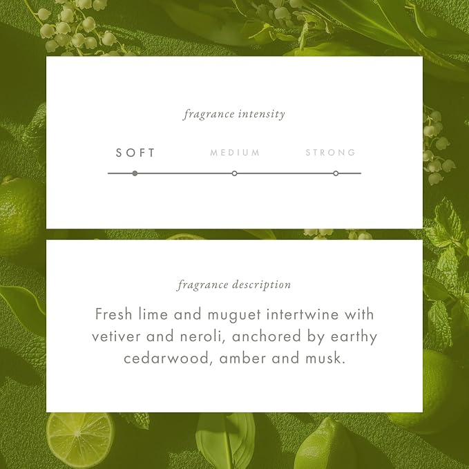 ScentAir Whisper Essential Monthly Plug-in Refill, Sparkling Lime & Mint | Fragrance Diffuser Cartridge Refill for Home and Office