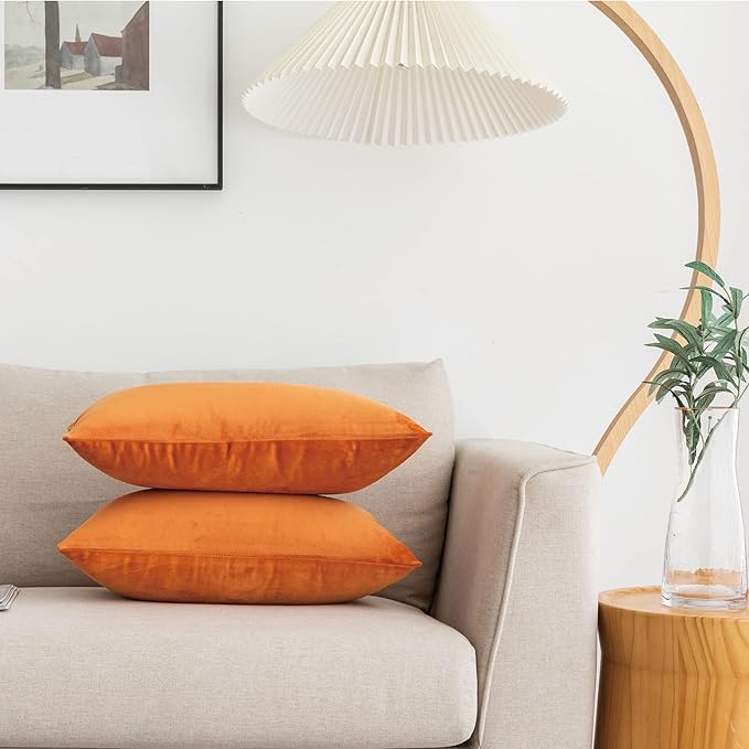 NiNi ALL Decorative Throw Pillow Covers Pack of 2, Halloween Velvet Cushion Case for Couch Bedroom Living Room Outdoor, Pillow Covers 12x20 Inch（30 x 50 cm） Orange