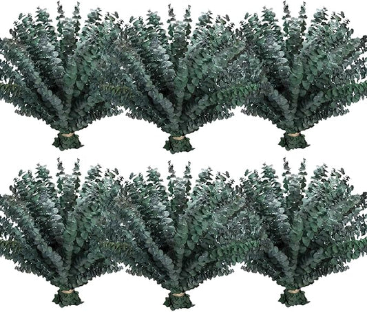 120 Pcs Dried Eucalyptus Stems, 17 Inch Real Fresh Preserved Eucalyptus Bundles, Eucalyptus Branches for Shower Hanging, Natural Green Plants for Vase Filler, Wedding, Bathroom, and Home Decor, DIY