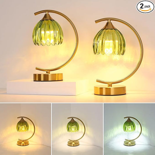Shenmoyl Set of 2 Tulip Table Lamp, 5200mAh Cordless Touch Control Table Lamp with 3 Color Temps & Stepless Dimming, Rechargeable Battery Table Lamp for Living Room, Bedroom, Office(Green Tulip)