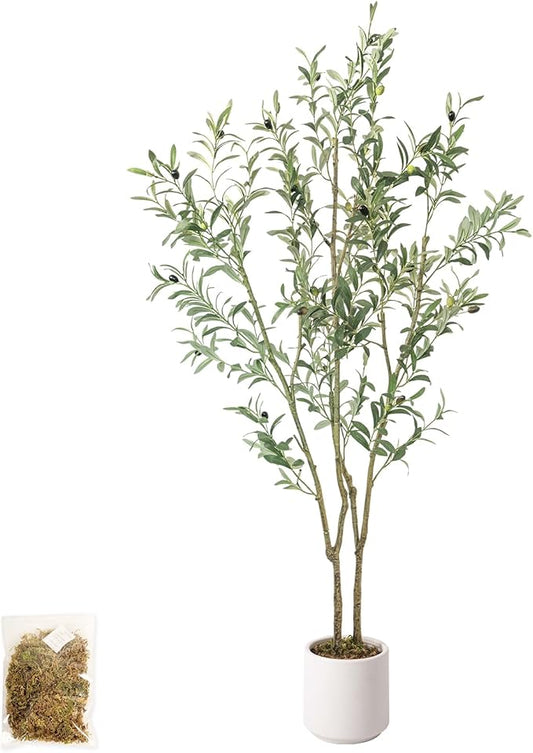 Olive Trees Artificial Indoor,Fake Olive Tree 6FT Tall 1Pack with White Planter Faux Silk Olive Tree for Home Living Room Office Decor Faux Artificial Plants Indoor with Fruit & Free Moss