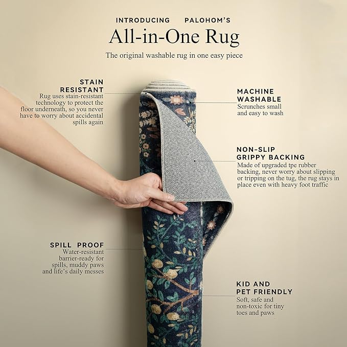 2x3 Washable Throw Rugs for Entryway: Door Mat Indoor Entrance Small Area Rug Non-Slip Low Pile Soft Kitchen Rug for Front Door Indoor Entrance Entry Kids Room Bedside