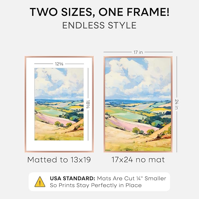 Homeforia 17x24 Picture Frame Rose Gold, High End Metal 17x24 Poster Frames with Mat 13x19 Photo, 17 x 24 Rose Gold Frame Matted to 13 by 19 Print, 24x17 Thin Frame, Tempered Glass, Wall Kit, Set of 1
