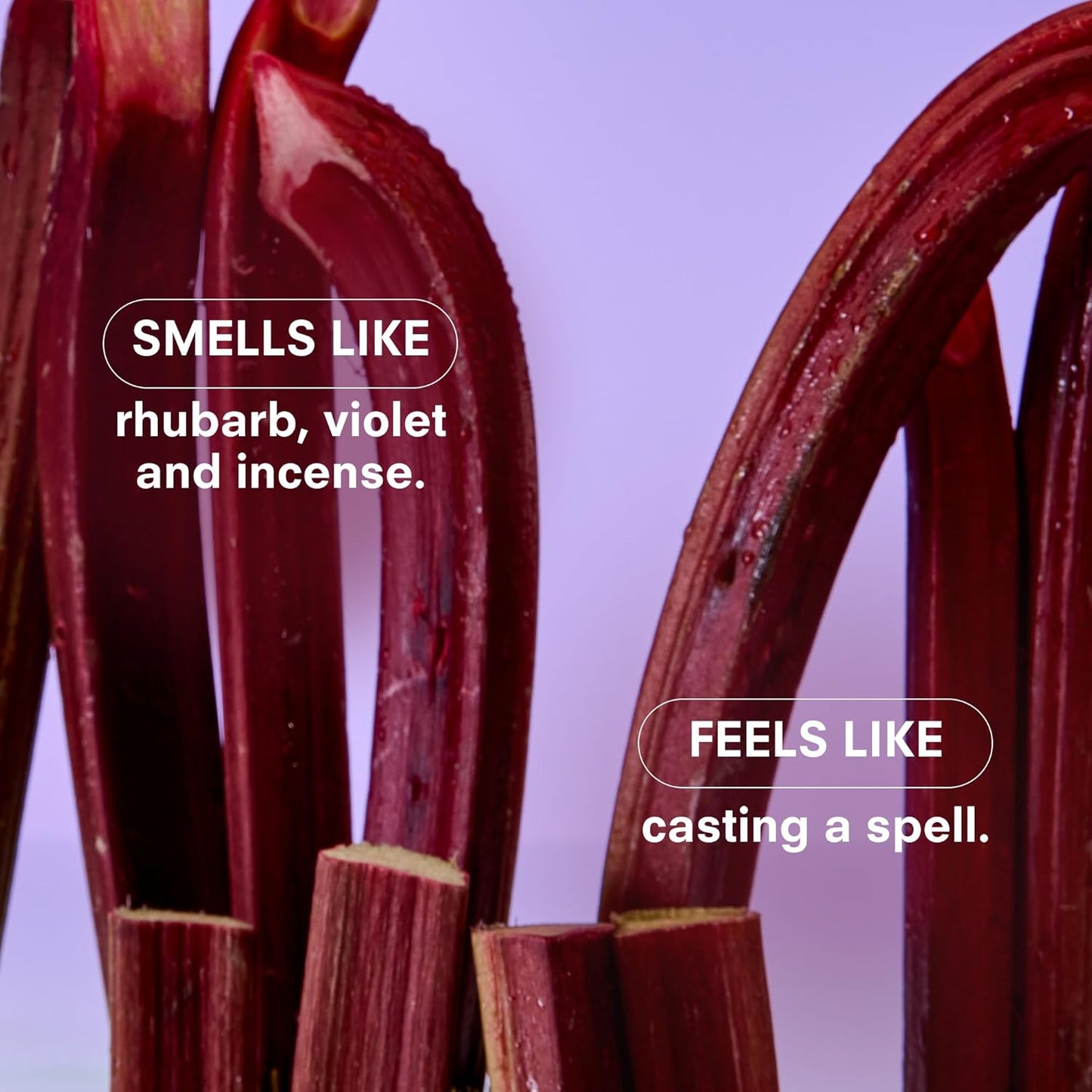 Boy Smells Violet Ends Candle - 8.5 oz - Aromatic Candle for Home with Rhubarb, Violet and Smoked Papyrus - Up to 50-Hour Burn - Cotton Wick