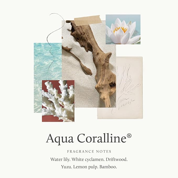 Thymes Aqua Coralline Reed Diffuser Oil for Room, Flameless Home Fragrance - 7.75 Fl Oz