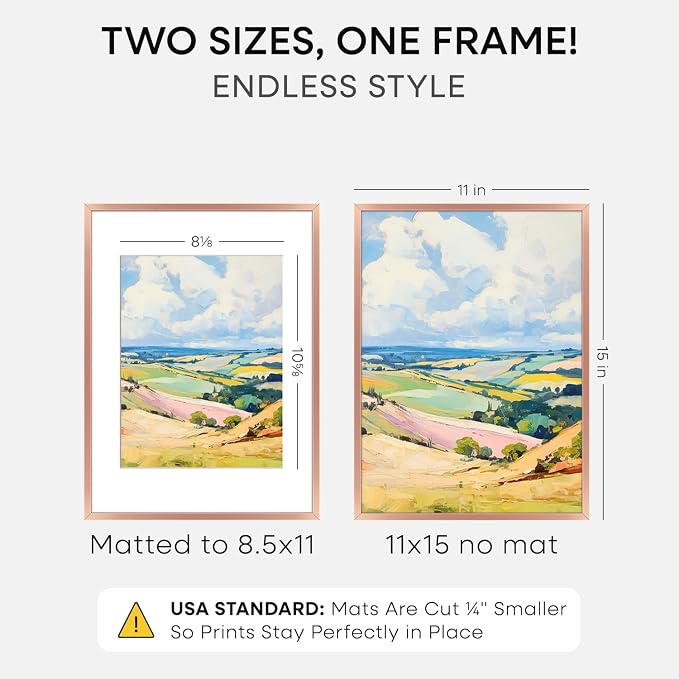 Homeforia 11x15 Picture Frame Rose Gold, High End Metal 11x15 Wall Hanging Frame with Mat 8.5x11, 11 x 15 Poster Frames Matted to 8.5 x 11 inch Photo, 11by15 Frames, Tempered Glass, Wall Kit, Set of 1