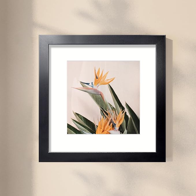 LaVie Home 12x12 Picture Frame Black Poster Frame,Display Pictures 8x8 with Mat or 12x12 Without Mat, Stable and Sturdy Frame and Polished Plexiglass, Horizontal and Vertical Format of The Walls