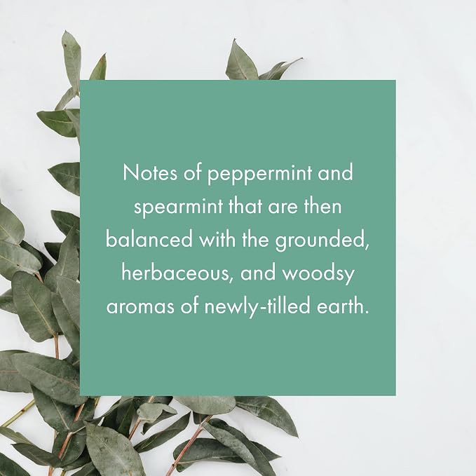 ScentAir Whisper Essential Monthly Plug-in Refill, Eucalyptus Mint | Fragrance Diffuser Cartridge Refill for Home and Office