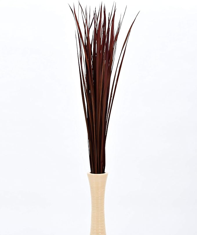 Leewadee Tall Vase Filler, Natural Grass Stems – 2 Bunches of Colored Branches for Vases, Carefully Dried Twigs for Home and Bar Decoration, 45 inches, Bordeaux