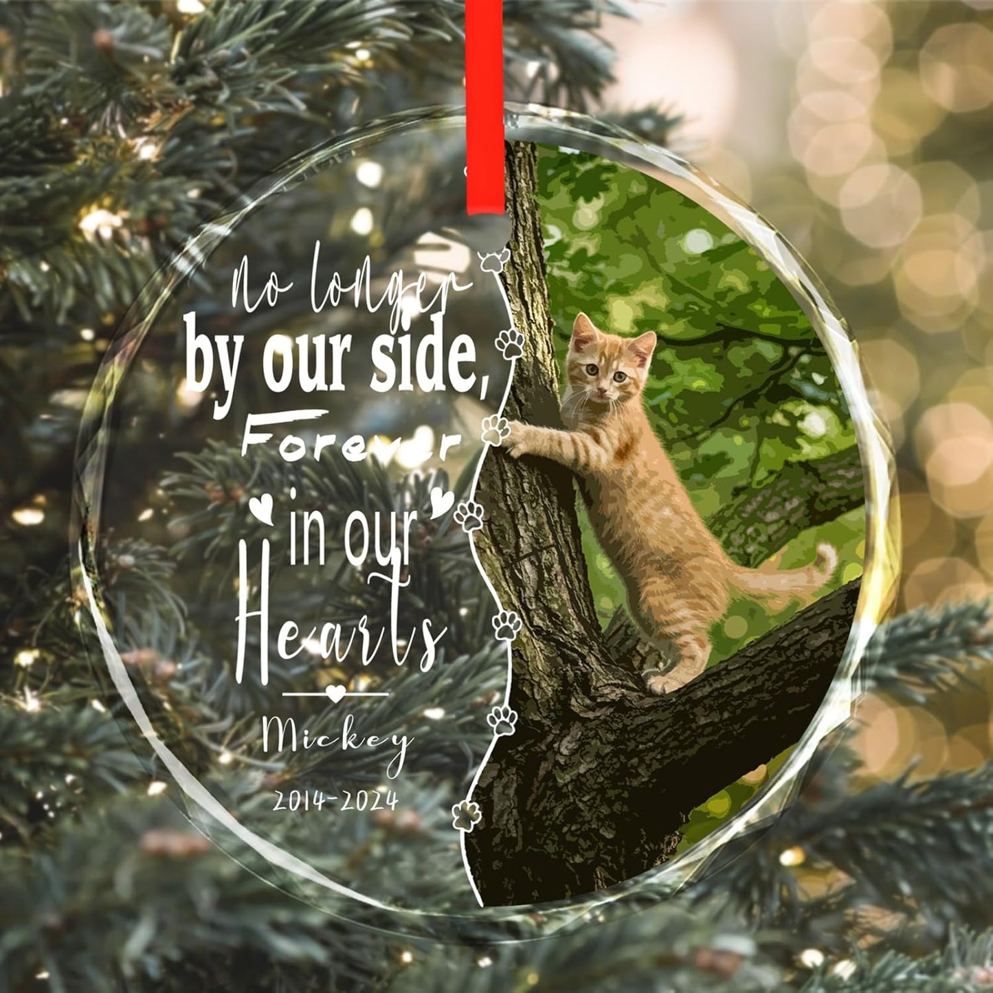 Personalized Glass Ornaments, Custom Glass Ornament with Name/Photo/Date,Customized Gifts for Pet, Round Designs