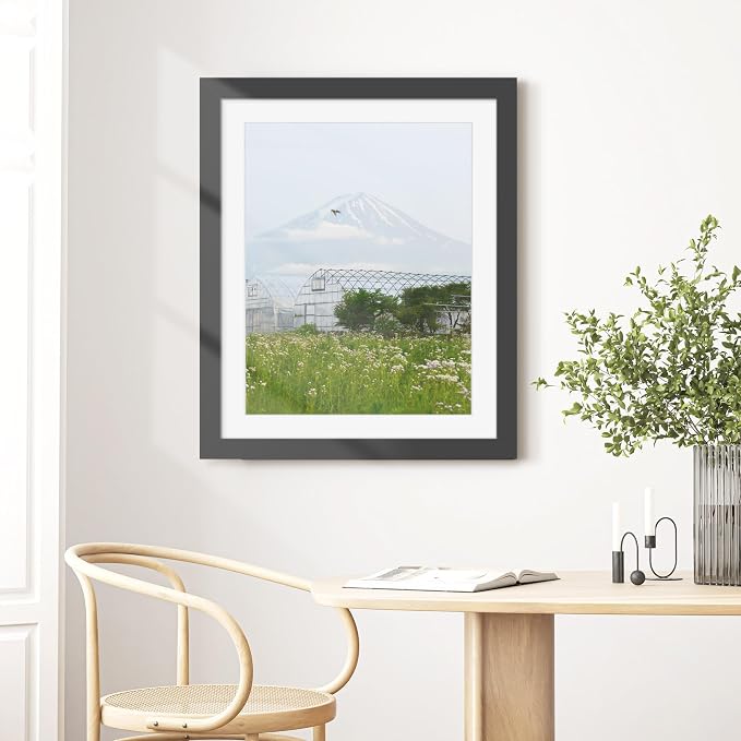 Picrit 26x32 Picture Frame 3 Pack, Black Poster Frame, Display Poster 22 x 28 with Mat or 26 x 32 without Mat for Horizontal or Vertical Wall Mounting