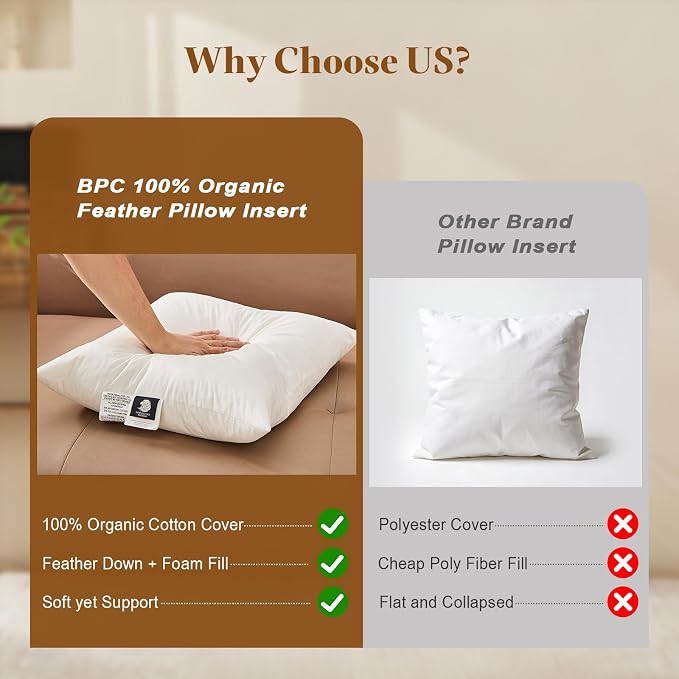BPC 24x24 Down Feather Throw Pillow Inserts Set of 2, 100% Organic Cotton Cover, Soft Square Decorative Pillow for Sofa, Couch and Bed, White