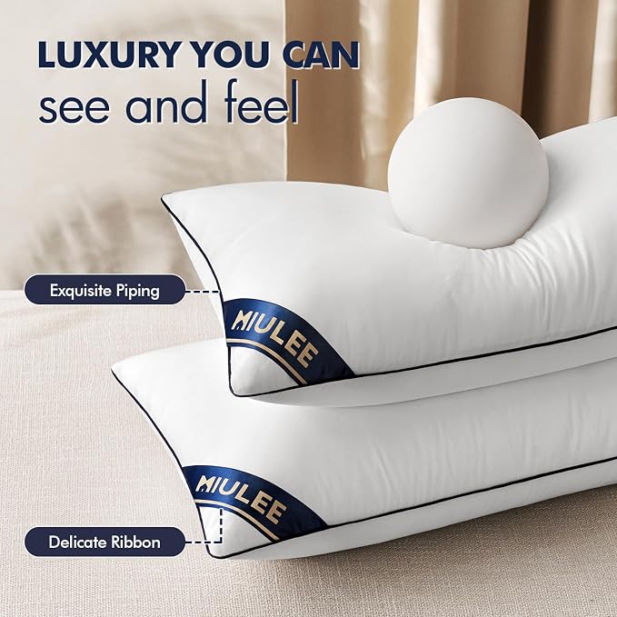 MIULEE 20x20 Pillow Inserts Set of 2 Throw Pillows 20 Inch Premium Down Alternative Pillow Inserts Decorative Pillow Stuffer for Sofa, Couch (20x20 inch, Set of 2)