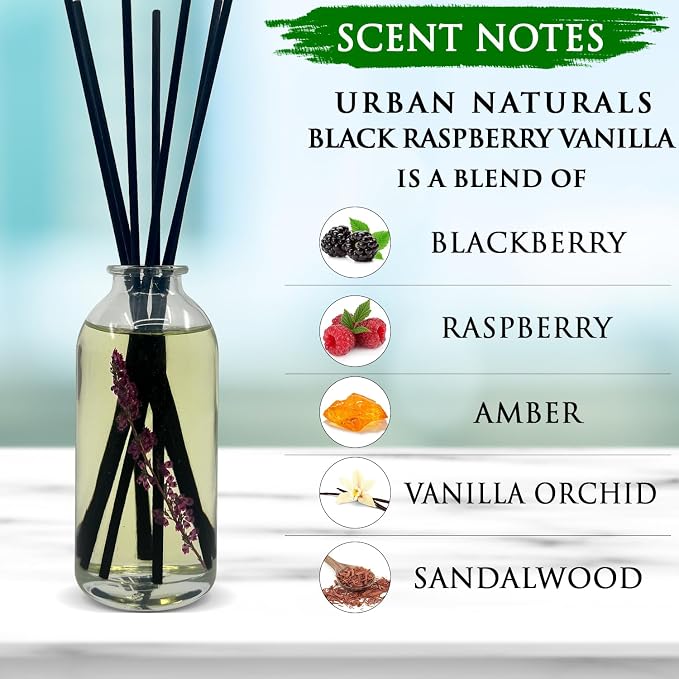 Urban Naturals Reed Diffuser Set, Black Raspberry Vanilla - Shelf Décor | Made with Essential Oils & Real Botanicals, Blackberry, Amber, Vanilla Orchid & Sandalwood, Made in the USA