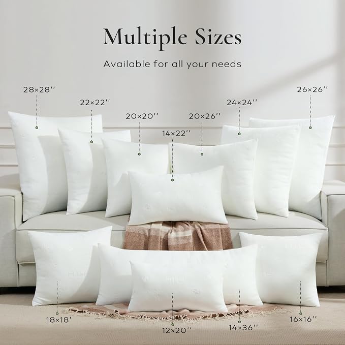 Ashler Throw Pillow Inserts 22 x 22 Inches Set of 2,Firm and Fluffy Decorative Square Pillows with Air Layer, Indoor Square Cushion Stuffer for Couch Bed Sofa and Living Room