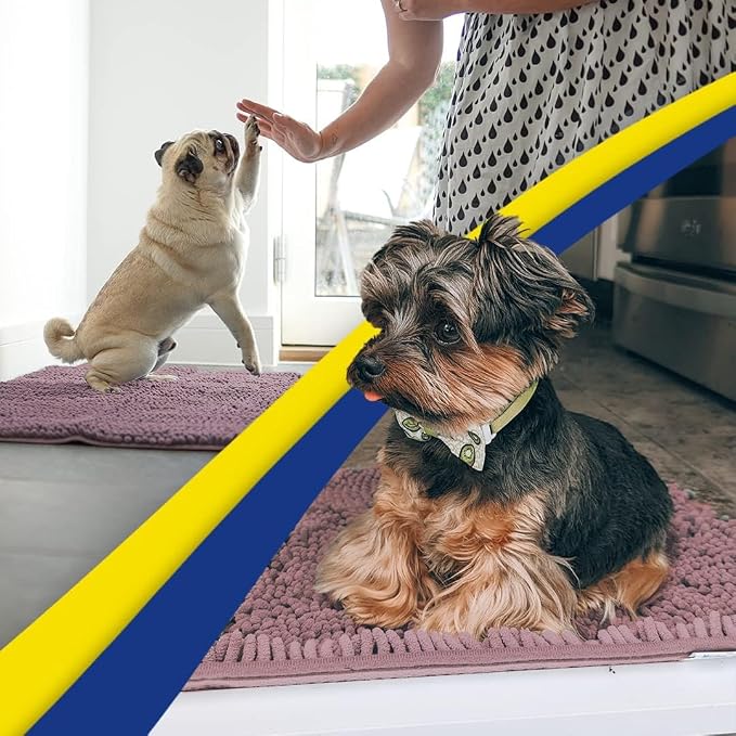 Muddy Mat® | Super Water Absorbent Door Mat Indoor, Microfiber Quick Dry Chenille Entryway Rug, Slip Resistant Front Door Mat, Indoor Mats for Entryway, Machine Washable Pet Rug, Plum 20" x 48"