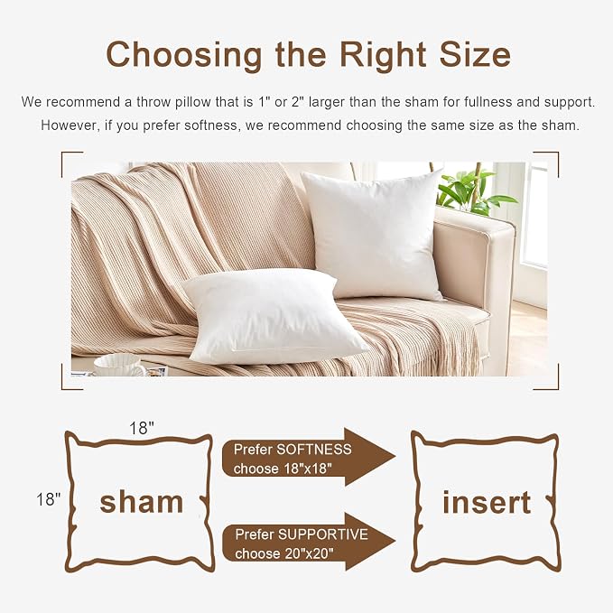 Organic Feather Down Throw Pillow Inserts (22x22 Inch, Set of 2) - 100% Cotton Shell, Filling of Feathers, Square Decorative Pillow Form Core for Couch, Sofa, and Bed
