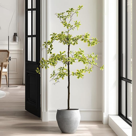 Erimda Faux Black Olive Tree 5ft, Faux Plants Indoor Large Tall Tree Artificial Shady Lady Tree with Natural Wood Trunk & Realistic Leaves, Fake Olive Plant for Home Office Indoor Decor
