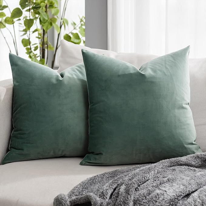 Decorative Velvet Throw Pillow Covers for Couch Sofa Bedroom,Soft Solid Cushion Covers Set of 2,14x14 inch,Sage