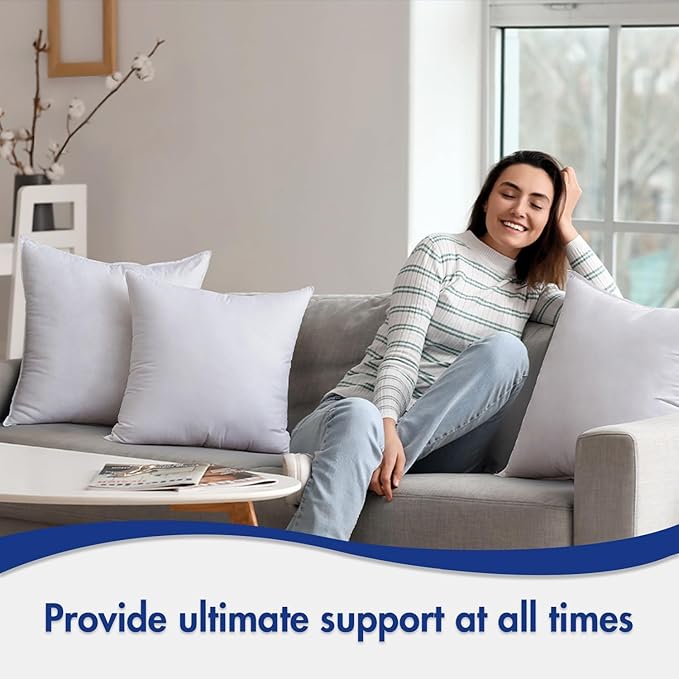MIULEE 22x22 Pillow Inserts,Down Alternative Pack of 2 Euro Decorative Throw Pillows for Sofa Couch Bed, Ultra Soft Fluffy Bed Sleeping Form