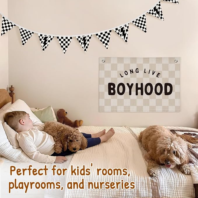 Lacama Cars Room Wall Art Decor Checkered Flag Banner for Toddler Nursery Playroom, Toddler Boy Room Decor，Black and White Checkered Garland Triangle Banners,Bunting Flags for Shower Birthday Party xsj