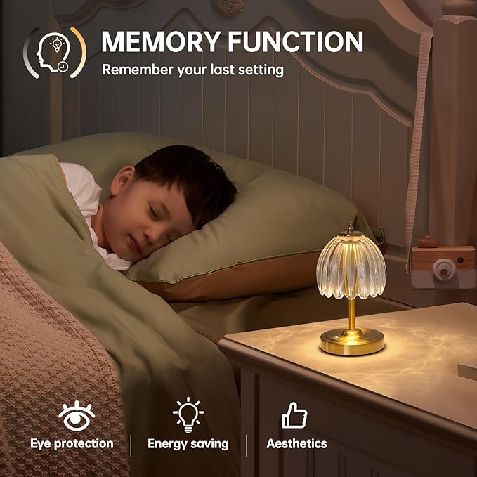 Shenmoyl Tulip Small Table Lamp, 5200mAh Cordless Touch Control Mini Table Lamp with 3 Color Temps & Stepless Dimming, Perfect for Small Spaces like Dressers, Bedsides, Bookshelves (Transparent Tulip)