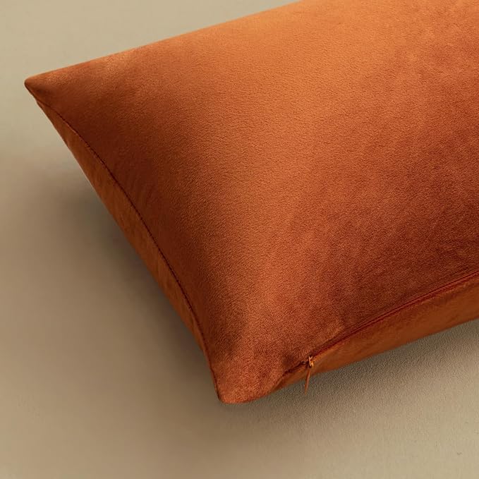 MIULEE Pack of 2 Rust Pillow Covers 20x20 Inch Fall Decorative Velvet Throw Pillow Covers Modern Soft Couch Throw Pillows Farmhouse Home Decor for Sofa Bedroom Living Room