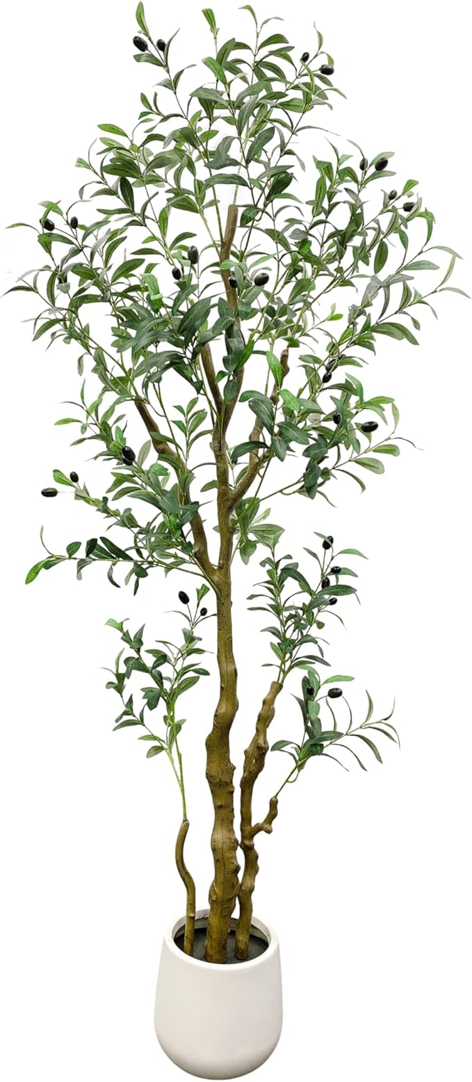 6FT Artificial Olive Tree with White Planter,Silk Fake Plants with Three Thick Trunk and Lifelike Fruits,Indoor Outdoor Fake Large Tree for Home Office Living Room Decor