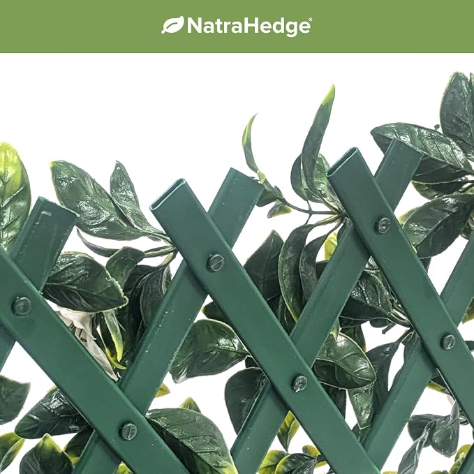 NatraHedge Artificial Privacy Grass Wall Decor, White Gardenia, Faux | Trellis, Expandable Lattice Panels for Indoor, Outdoor, Garden and Balcony Greenery Wall Fence Screen | UV Resistant