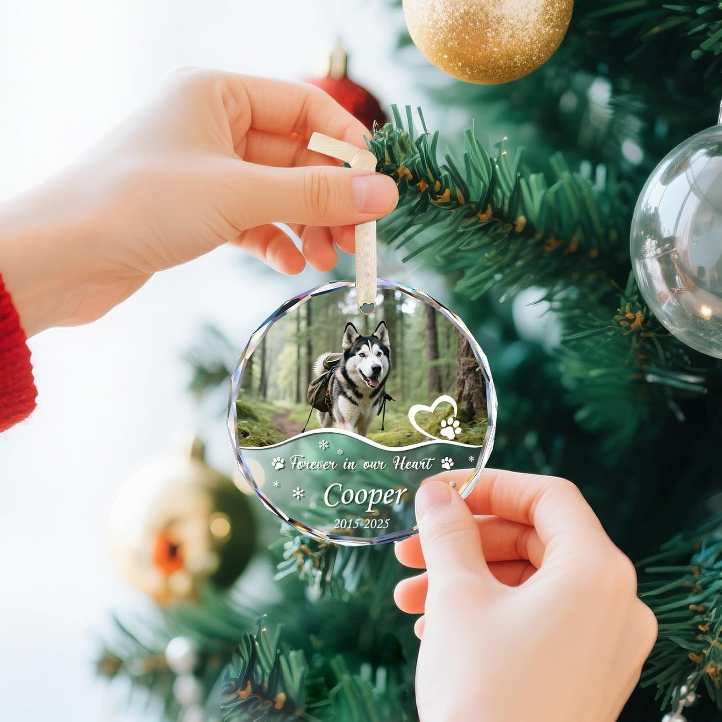 Personalized Pet Memorial Ornament - Custom Photo, Name & Dates - Forever in Our Hearts Glass Crystal Keepsake Ornaments - Dog Memorial Gifts for Loss of Dog, Cat