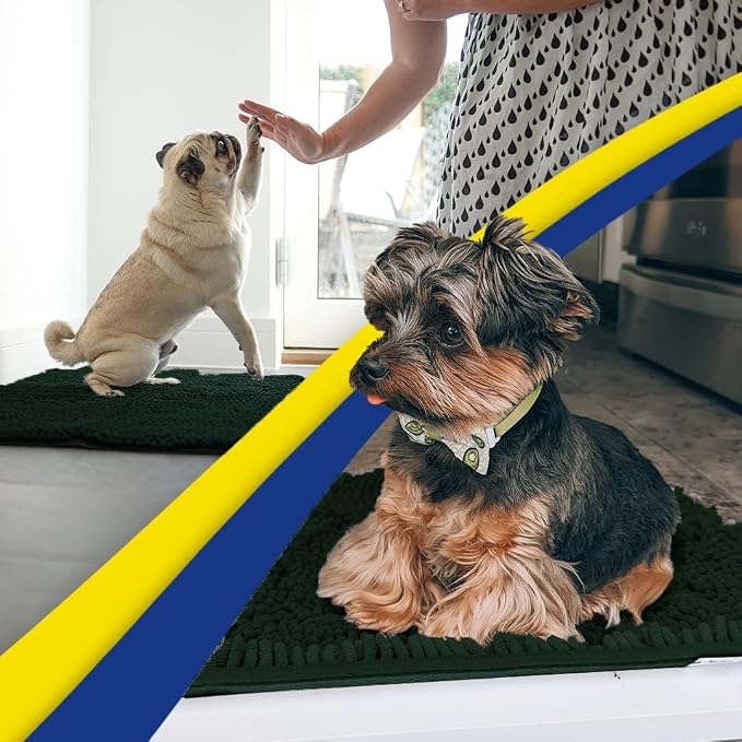 Muddy Mat® | Super Water Absorbent Door Mat Indoor, Microfiber Quick Dry Chenille Entryway Rug,Slip Resistant Front Door Mat,Indoor Mats for Entryway,Machine Washable Pet Rug, Hunter Green 2ft x 3ft