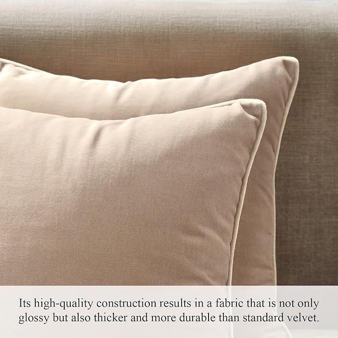 A1HC Set of 2 Luxurious Fine Soft Velvet Throw Pillow Covers Only, for Sofas, Beds, Vibrant Colors and Hidden Zipper. Enhance Your Living Space with Decorative Couch Pillow 22"x22", Khaki