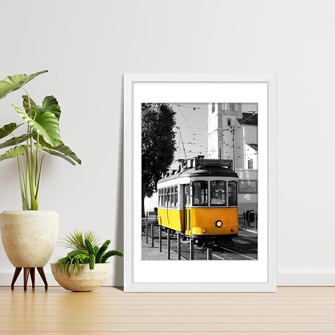 LaVie Home 20 x 30 Poster Frame White, Display Pictures 18x24 with Mat or 20x30 Without Mat, Stable and Sturdy Picture Frame and Polished Plexiglass, Horizontal and Vertical Format of The Wall（1 Pack）