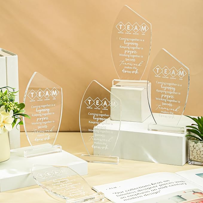 10 Pcs Employee Appreciation Gift Awards for Coworker Acrylic Social Worker Trophy May You Be Proud of The Work You Do Sign Prizes Gift for Volunteer Teacher Nurse Secretary Admin Assistant(Team)